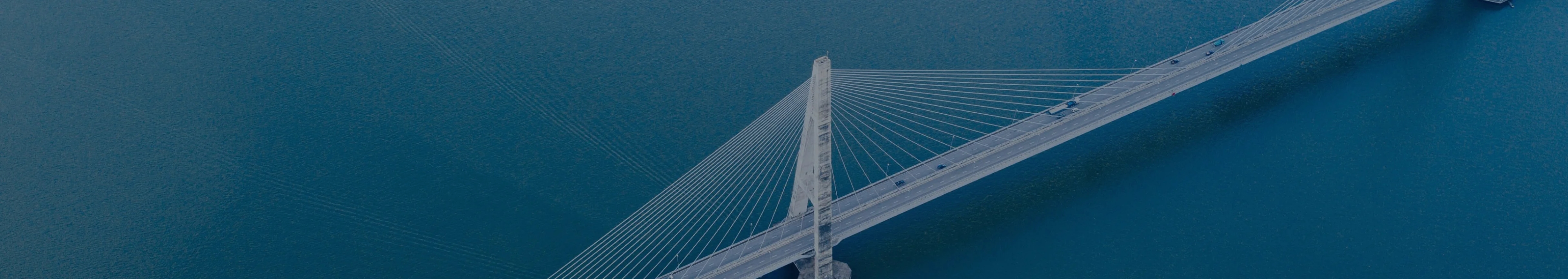 Aerial view of a cable-stayed suspension bridge, representing durable infrastructure built to last